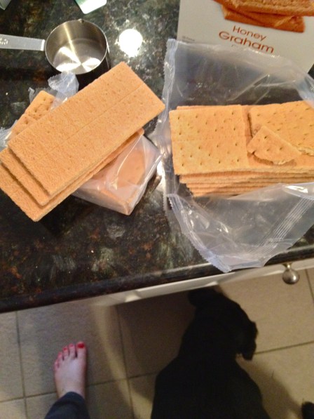 Let your puppy eat the pieces of graham cracker that you'll inevitably drop.